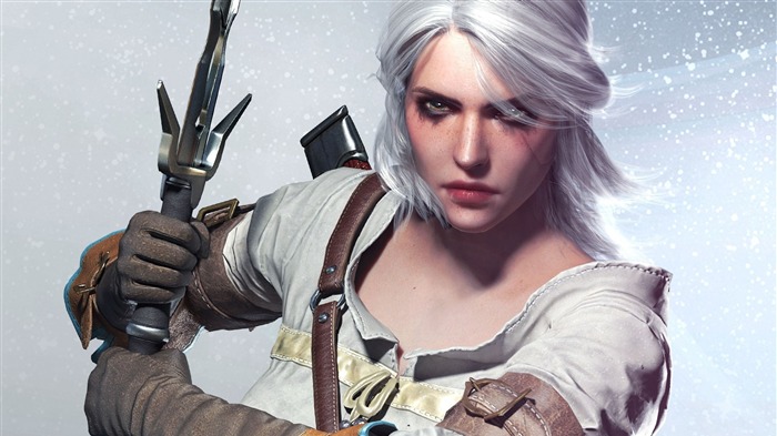 THE WITCHER 3 WILD HUNT Jogo HD Wallpaper 18 Visualizações:10502