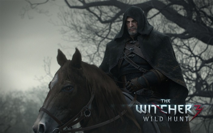 THE WITCHER 3 WILD HUNT Jogo HD Wallpaper 19 Visualizações:10217