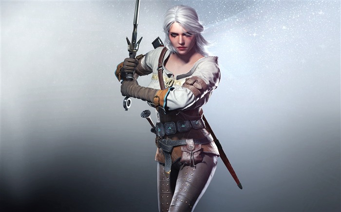 THE WITCHER 3 WILD HUNT Jogo HD Wallpaper 25 Visualizações:14241