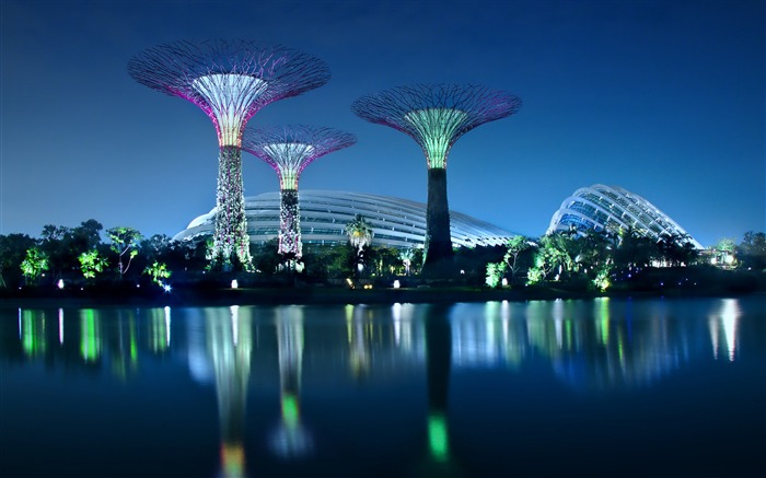 gardens by the bay-High Quality HD Wallpaper Views:12321 Date:2015/3/13 8:50:20