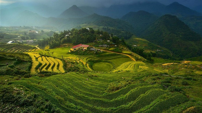 rice terraces in vietnam-Photo HD Wallpaper Views:13178 Date:2015/3/4 6:26:09