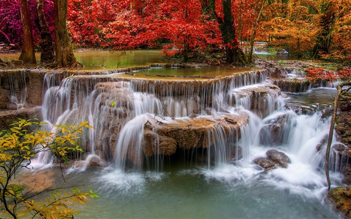 cascada árboles rojos-fotografía fondo de pantalla HD Vistas:9785