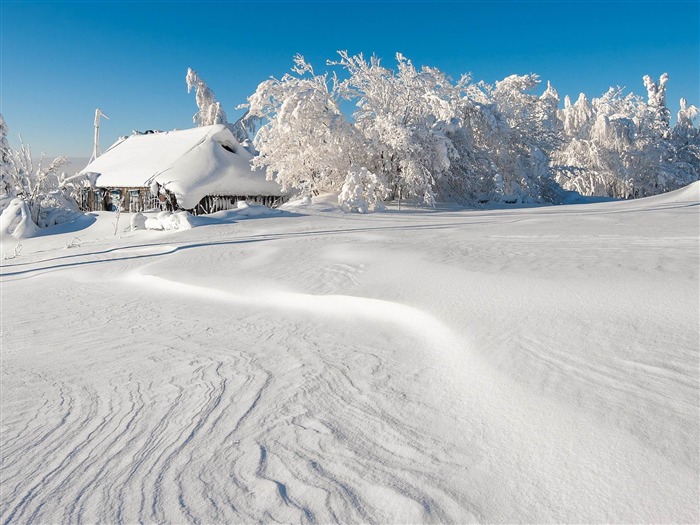 bâtiment l'hiver la neige-Photo HD Fond d'écran Vues:7731