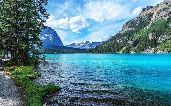 Parc national de Yosemite-Photo HD Fond d'écran Vues:14466