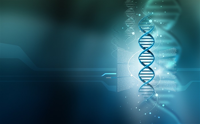 3D DNA-High Quality HD Wallpaper Views:17203 Date:2015/4/4 22:20:03