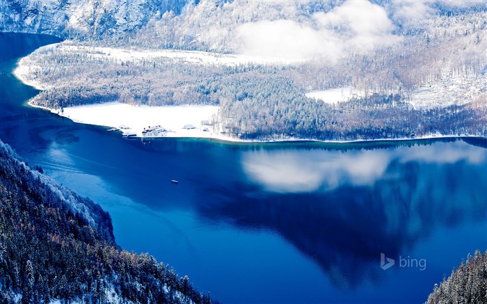 Belle hiver lac de la forêt-2015 Bing fond d'écran Vues:10765