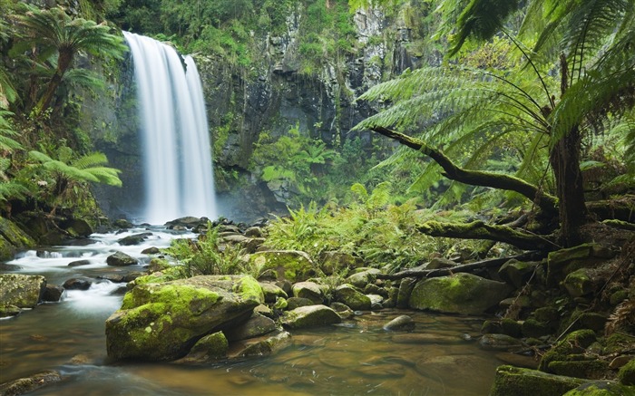 Cascades forestiers-HD Fond d'écran Vues:9558