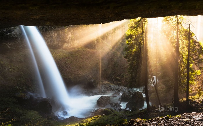 Sol através da cachoeira da selva - 2015 Papel de parede do tema Bing Visualizações:7830