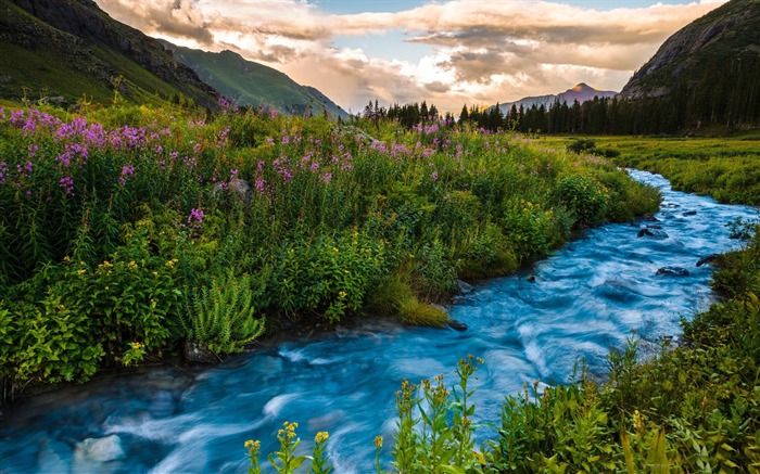 Fondo de pantalla de colores de río Colorado-flores colorado Vistas:12561