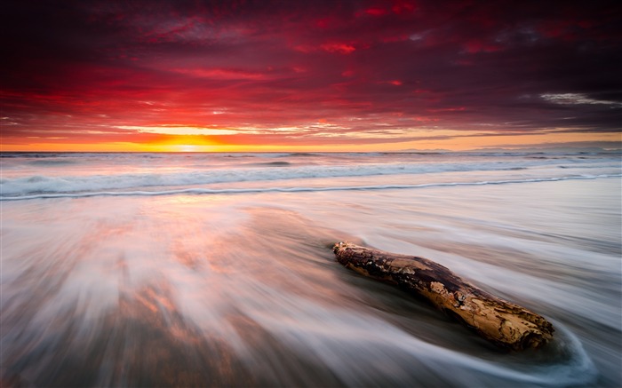 leithfield beach sunrise-HD Widescreen Wallpaper Views:7725 Date:2015/4/3 22:59:17