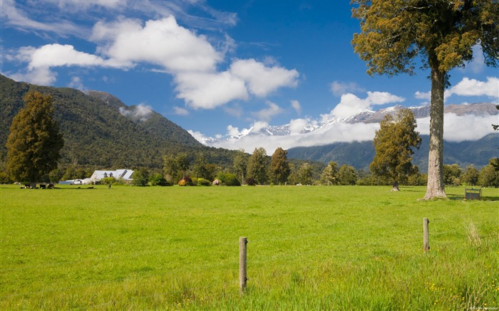 Fondo de pantalla de tierras de labranza de Nueva Zelanda, Windows 10 Vistas:14652