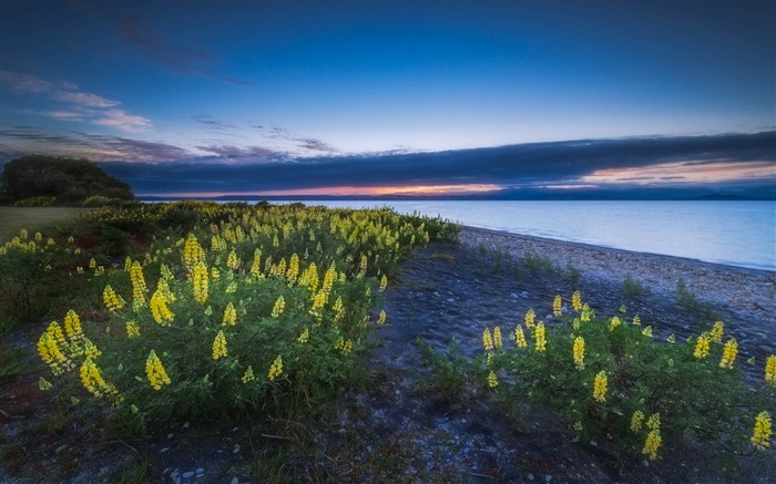 Ultima Nouvelle Zélande Nature HD Fond d'écran Vues:8474