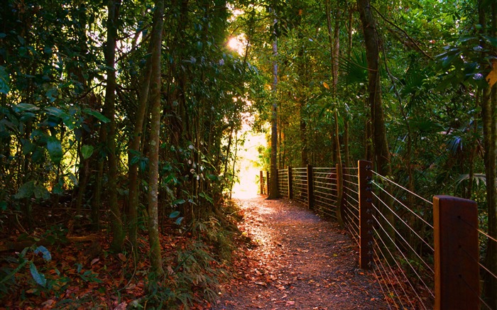 Eungella National Park-HD Desktop Fond d'écran Vues:7581