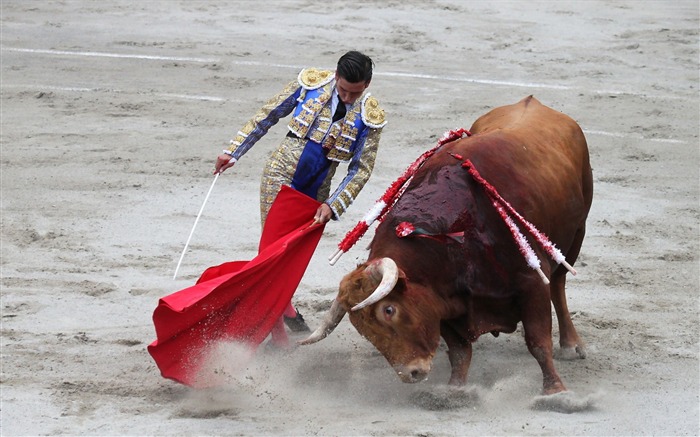 Matador Bullfight - Papel de Parede de Alta Qualidade HD Visualizações:12764