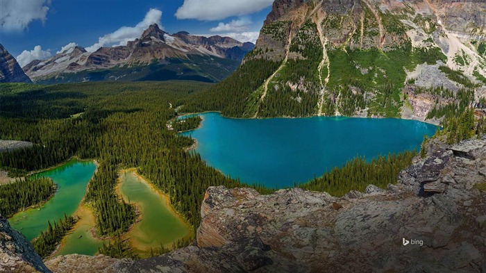 Papel de Parede Temático Columbia Britânica Canadá-Bing Visualizações:9811