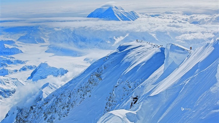 Papel de Parede Típica do Parque Nacional Denali Visualizações:9257