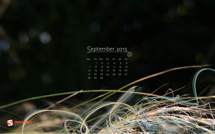 Fondo de pantalla de calendario de Stipa Tenuifolia-septiembre de 2015 Vistas:8534