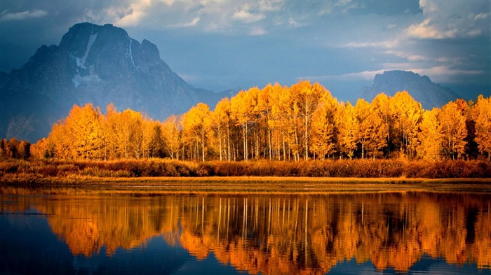 otoño lago árboles montañas-Naturaleza fondo de pantalla HD Vistas:13822