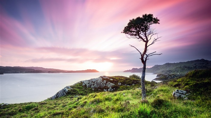 crépuscule pin ecosse-Nature HD Fonds d'écran Vues:8893