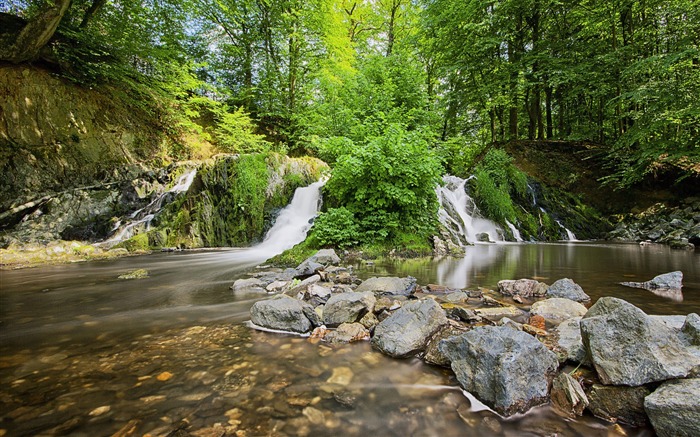 cascade et pierres forêt-Fond d'écran Paysage Vues:9818