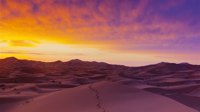 verano horizonte desierto-Naturaleza fondo de pantalla HD Vistas:13540