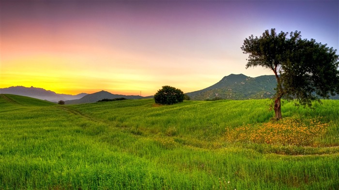 summer nature grass light-Scenery HD Wallpaper Views:11471 Date:2015/8/18 6:58:22