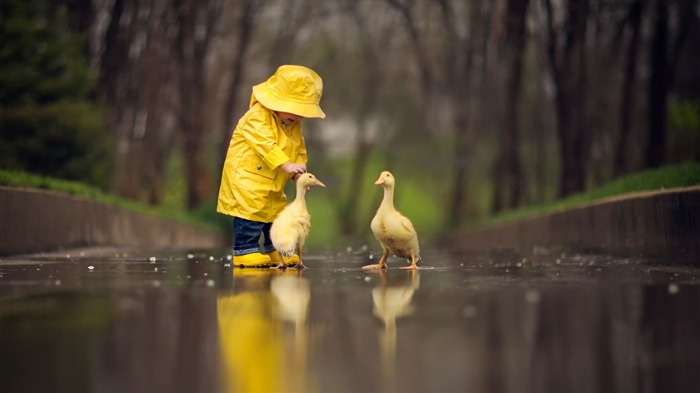 jaune imperméable bébé-photo fond d'écran Vues:7850