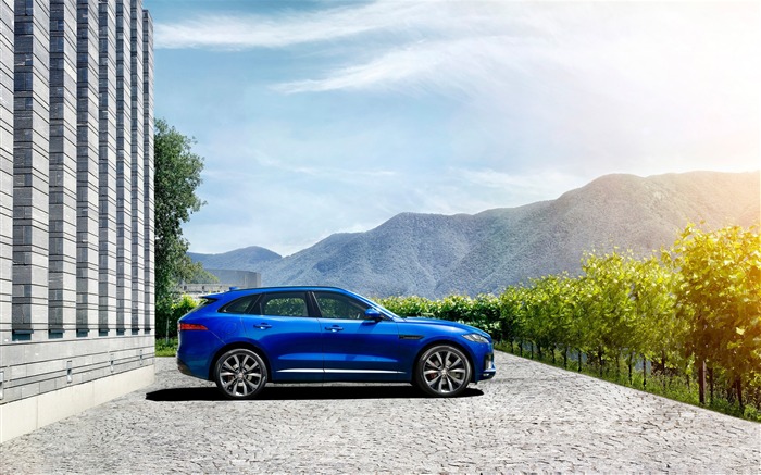 2016 Jaguar F Pace Series HD Wallpaper 10 Visualizações:6988