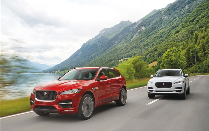 2016 Jaguar F-Pace série HD Fond d'écran Vues:6513