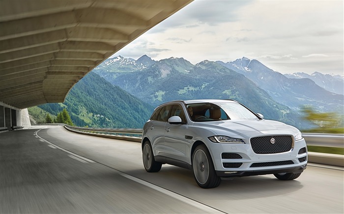 2016 Jaguar F Pace Series HD Wallpaper 34 Visualizações:5798