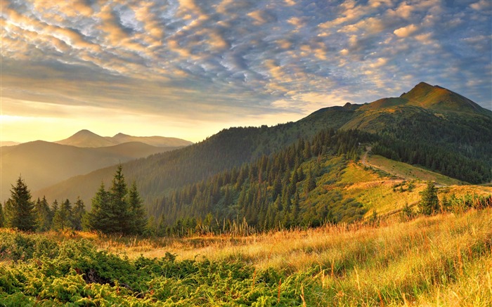 montagnes végétation flore-Photographie HD fond d'écran Vues:9272