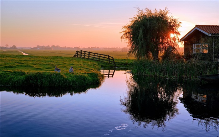 Maison de l'étang des canards sunset village-Photographie HD fond d'écran Vues:9029