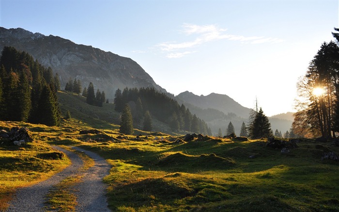 arbres de la montagne de la route-Photographie HD fond d'écran Vues:8434