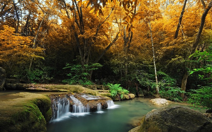 Streamwood arbres de l'automne-Photographie HD fond d'écran Vues:6349