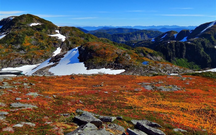 晴れた日の山-写真の壁紙 ブラウズ:7280