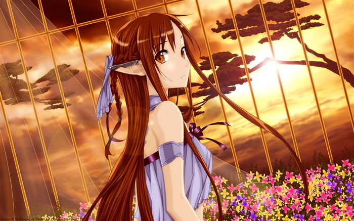 sword art online girl-Design HD Wallpaper Views:8878 Date:2015/9/16 7:26:26