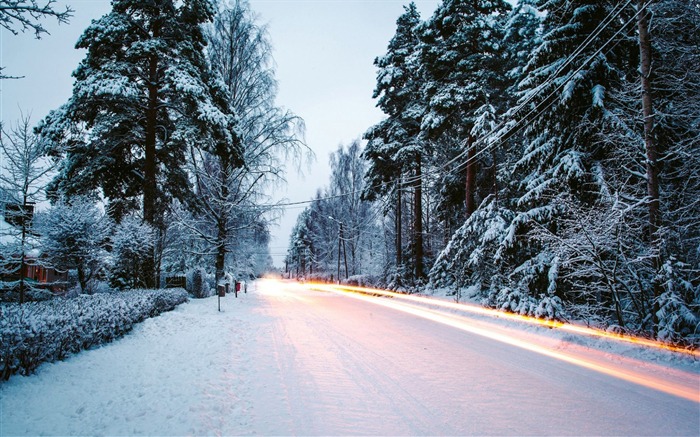 Forest winter road-HD Fondos de Escritorio Vistas:8030