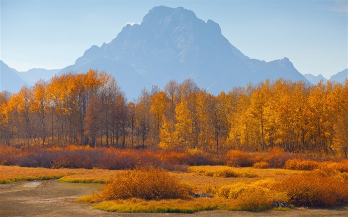 Golden Autumn Nature Scenery HD Wallpaper 05 Visualizações:7996