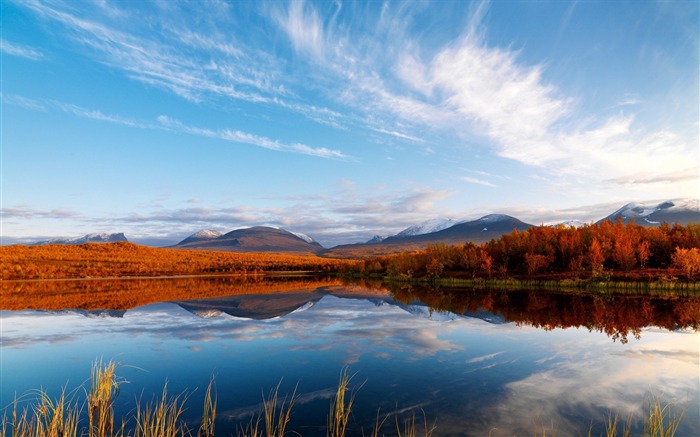 Paisaje de otoño de oro naturaleza Scenery HD 18 Vistas:6530