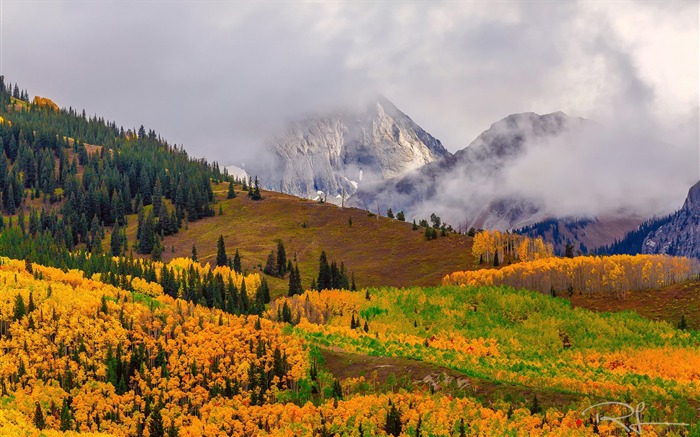 Golden Autumn Nature Paysage HD fond d'écran Vues:32618