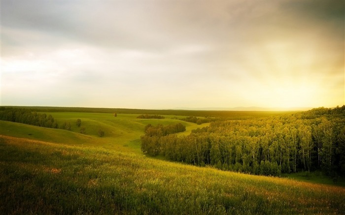 Green Landscape-HD Fondos de escritorio Vistas:8395