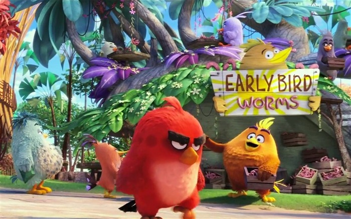 O Angry Birds Movie 2016 HD Wallpaper 02 Visualizações:8308