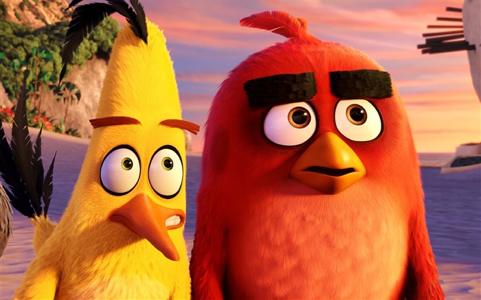 O Angry Birds Movie 2016 HD Wallpaper 05 Visualizações:8068