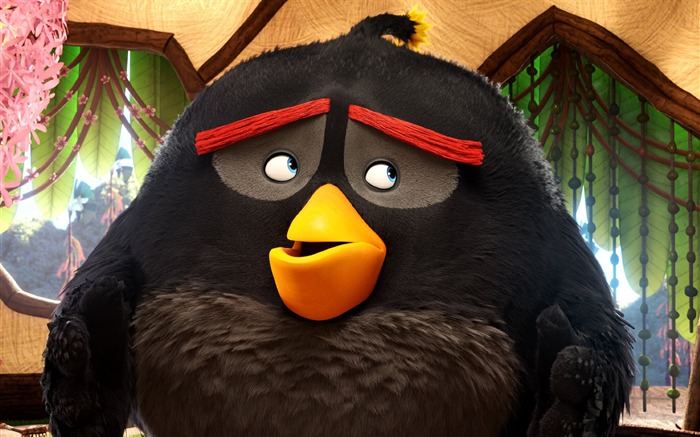 O Angry Birds Movie 2016 HD Wallpaper 08 Visualizações:7674