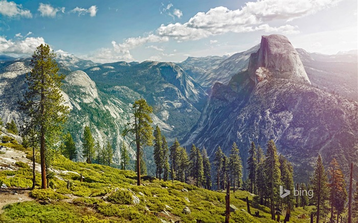 Parc National de Yosemite-Octobre 2015 Bing Fond d'écran Vues:8343