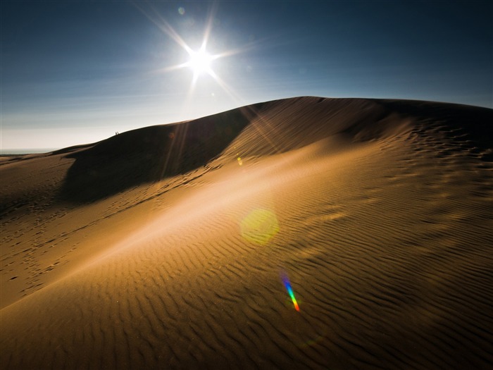 sol do deserto - Paisagem HD Wallpaper Visualizações:10008