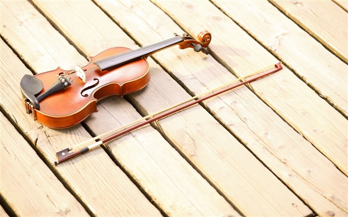 hollaying bass violin-Music HD Wallpaper Views:9080 Date:2015/10/29 8:33:09