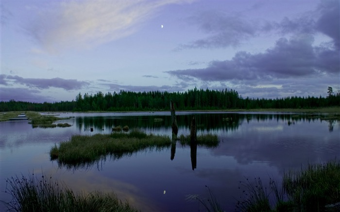 hunneberg bird sanctuary-HD Fondos de Escritorio Vistas:7334