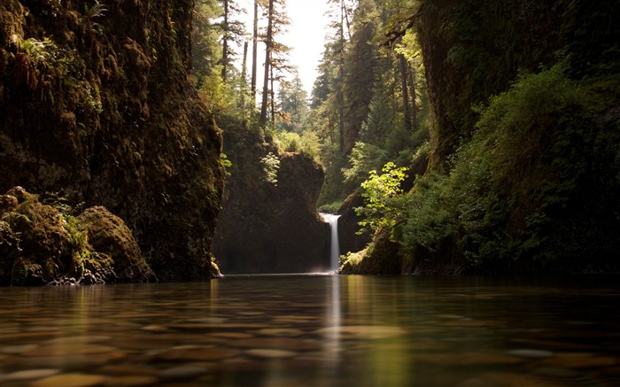 o pingüim cai cascata-Paisagem HD Wallpaper Visualizações:9937