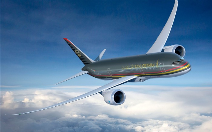 royal jordanian airlines-High Quality Wallpaper Views:8500 Date:2015/10/30 9:18:57